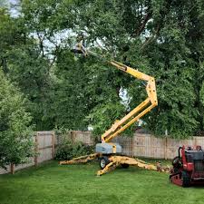  , USA Tree Removal and Landscaping Services Pros